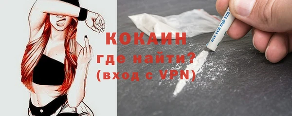 мдпв Верхний Тагил