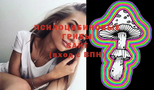 мдпв Верхний Тагил