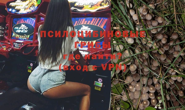 мдпв Верхний Тагил