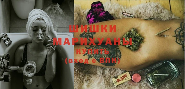 мдпв Верхний Тагил