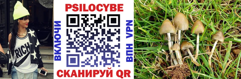 Псилоцибиновые грибы Magic Shrooms  маркетплейс состав  Липецк 